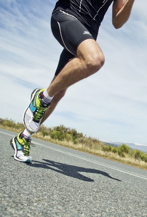 NUOVE ESTENSIONI DOMINI